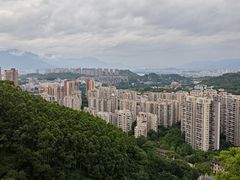 -福道