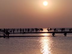 -东戴河风景区