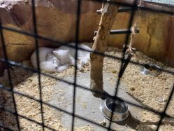 -酷嗒动物文化乐园(cutezoo西溪乐天城店)