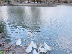-上海影视乐园