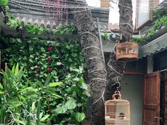 -丽江庭院·云南野生菌·海鲜火锅(鼓楼四合院店)