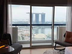 -新加坡瑞士史丹福酒店