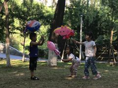 -长白岛森林公园