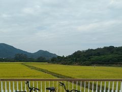 -艾米稻香小镇