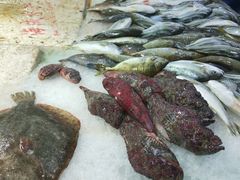 -清水湾3号(东方小周海鲜店)