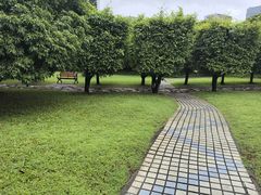 -荔香公园