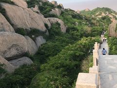 -洋山深水港