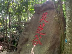 -呀诺达热带雨林