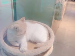 -7mall美食潮地标