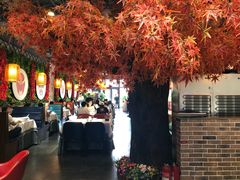 大堂-雲蜀龙阁·金牌水煮鱼(方庄店)