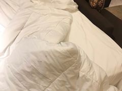 -广州粤海喜来登酒店