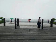 -大湾区中央湿地公园