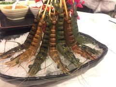 -鲜入围煮花胶鸡海鲜火锅