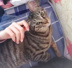 -YooMee优美智能科技美肤机构