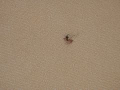 床-美仑皓晖酒店