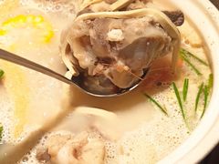 旺晖招牌骨头锅-旺晖本帮骨头煲·深夜火锅(梅园路店)