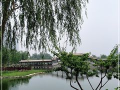 -西海子公园