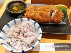 -胜博殿日式炸猪排(西红门店)