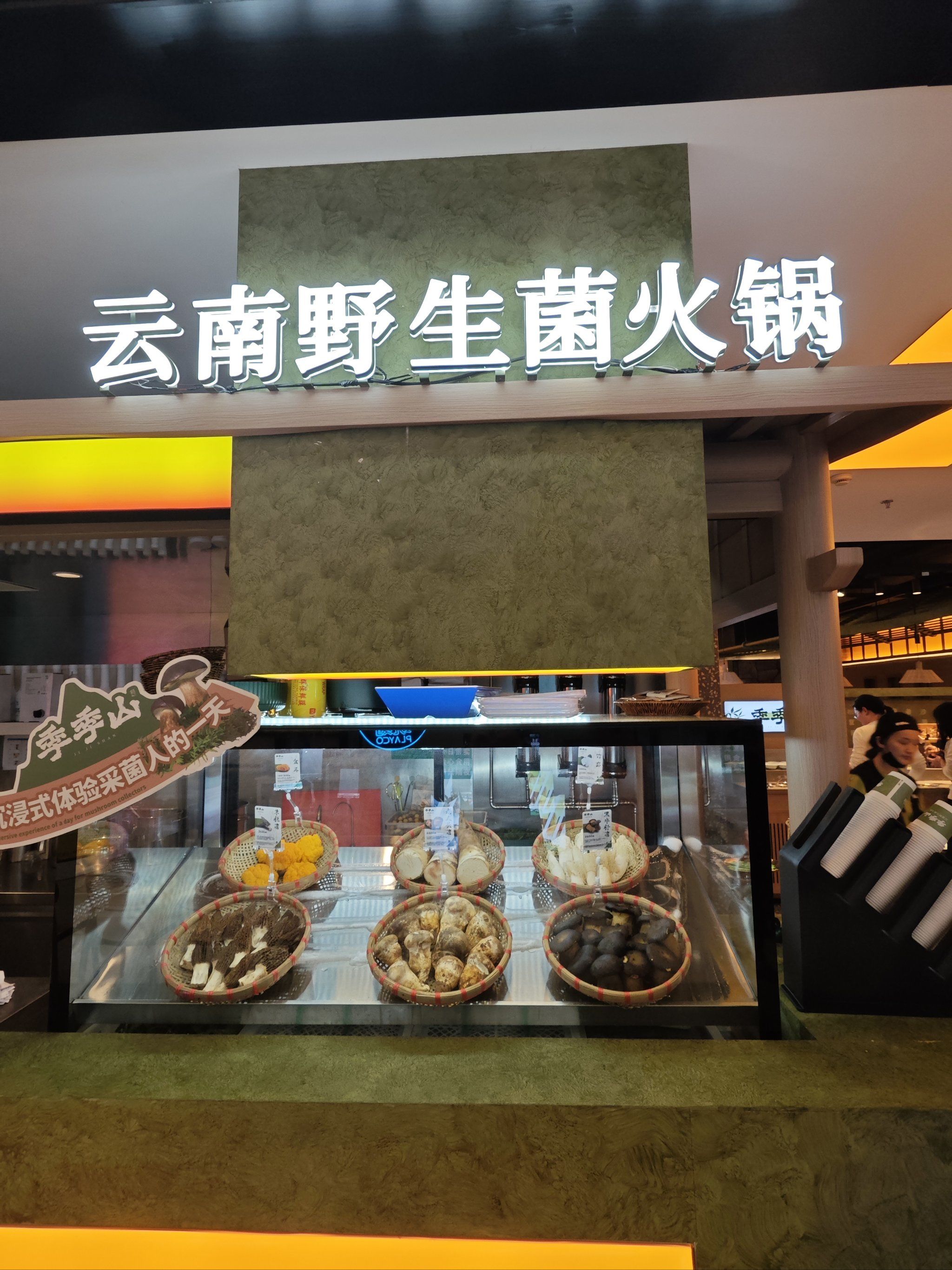这家店的野生菌种类非常多,有松茸,牛肝菌,鸡油菌等