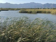 景点-野鸭湖国家湿地公园