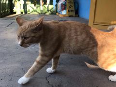 -俄罗斯风情小镇