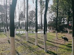 -艾溪湖湿地公园
