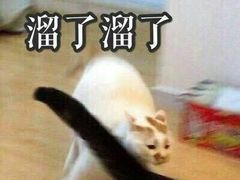 -JOJO实景沉浸侦探剧本杀(大悦城店)