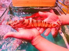 -凯华海鲜火锅·传承三十六年