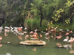 -宁波野生动物园