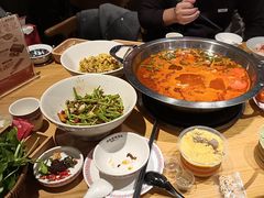 -老凯俚酸汤鱼(多彩城店)