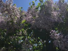 -长春公园(普阳街道)