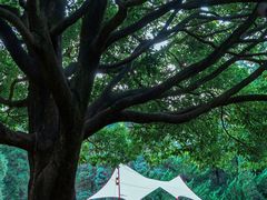 -昆明市金殿名胜区