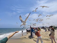 -那香海钻石沙滩浴场