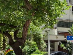 -时光花园(白鹭洲店)