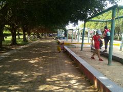 -广东茂名森林公园