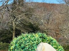 -雕刻之森美术馆