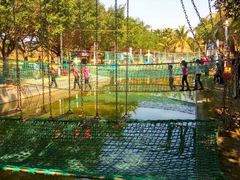 -广东茂名森林公园