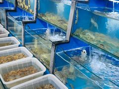 水产区-桔子海鲜烧烤大排档(金沙滩店)