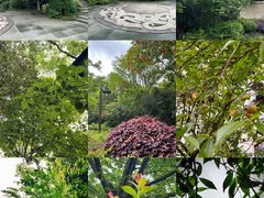 -杭州半山国家森林公园