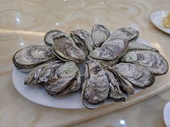 -蚝专家(北滘店)