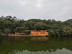 -南国桃园旅游度假区