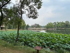 -承德避暑山庄景区