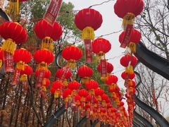-武汉园博园(武汉自然博物馆)