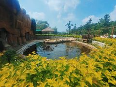 -沈阳森林动物园