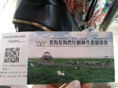 -北海金海湾红树林生态旅游区