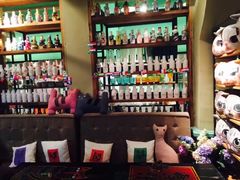 -猫咪博物馆(顶澳仔猫街店)