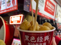 -黑色经典臭豆腐·湖南特产(坡子街店)