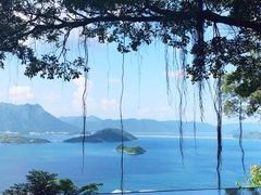 -大埔公路-马料水段香港中文大学(公交站)