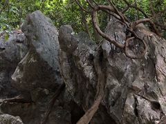 -杭州西湖风景名胜区-三生石