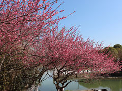 -白塘生态植物园
